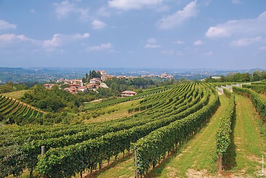  © travelpeter - Fotolia.com
